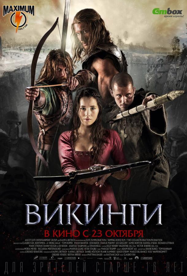 Фильм Викинги (2014) смотреть онлайн в хорошем качестве
